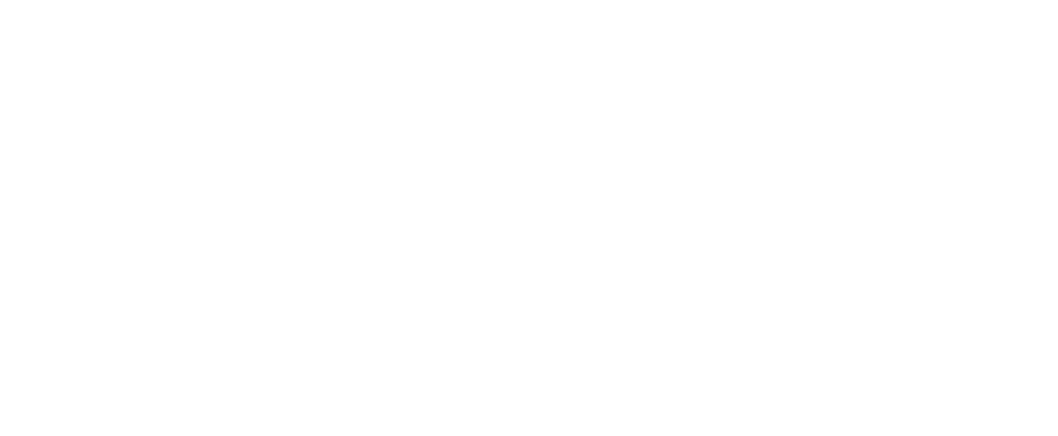 The Leapers logo — White